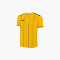 Dorado / Negro